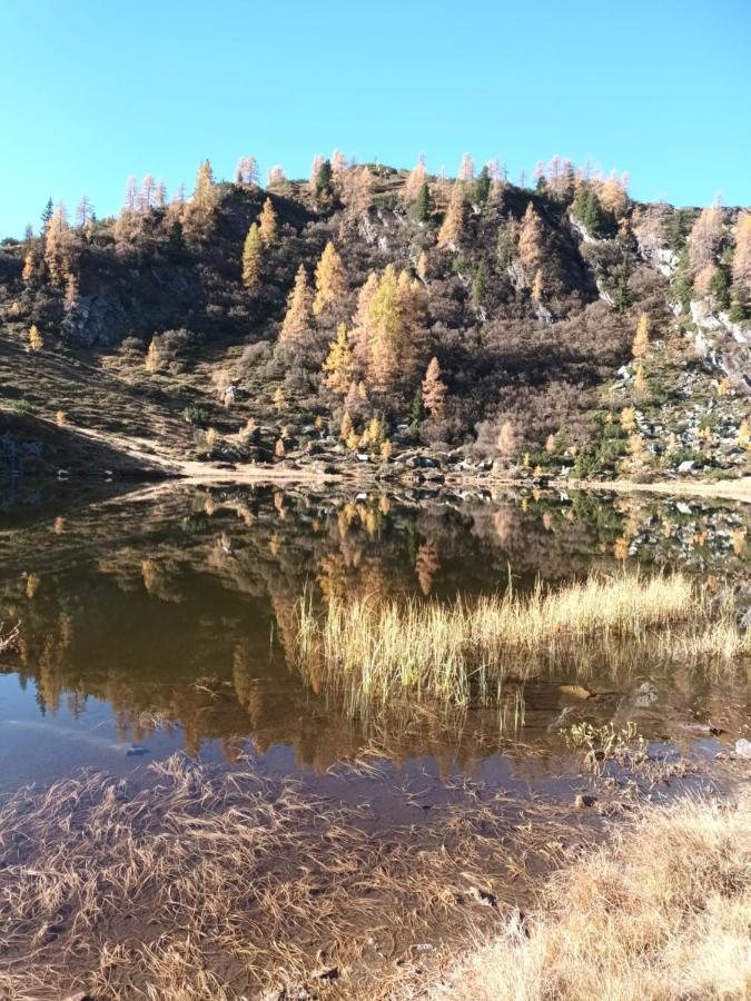 Himmlisch Urlauben In Pichl Διαμέρισμα Schladming Εξωτερικό φωτογραφία